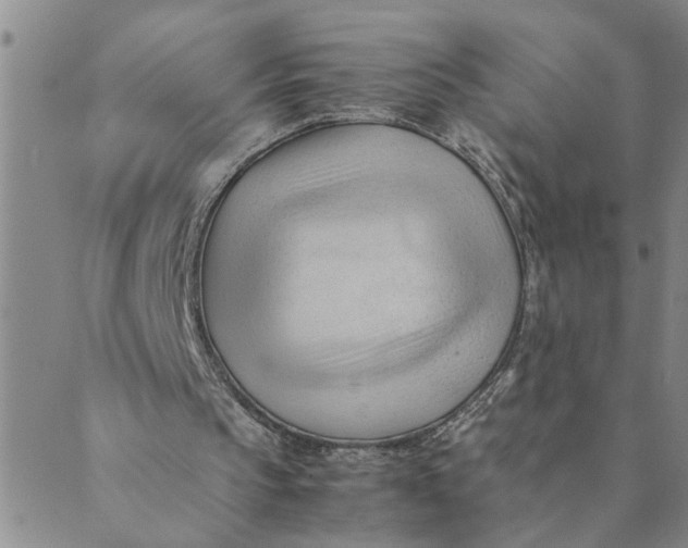 X0000089350145200707061033
