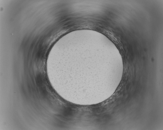 X0000089350146200707061033