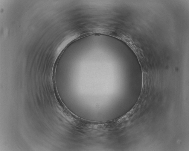 X0000089350147200707061033