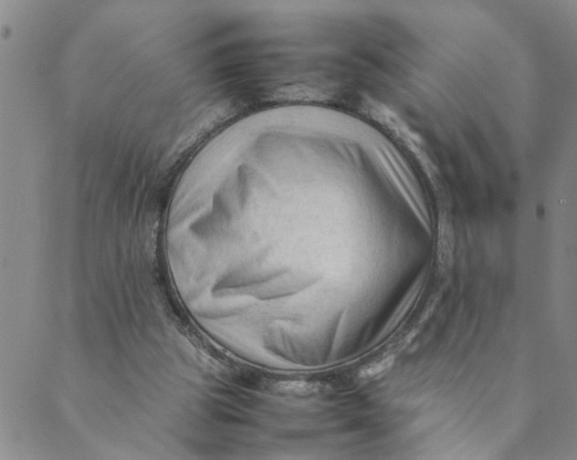 X0000089350153200707061033