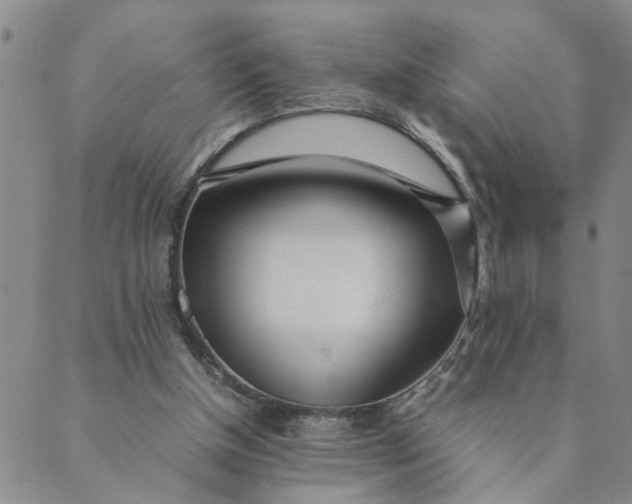 X0000089350154200707061033