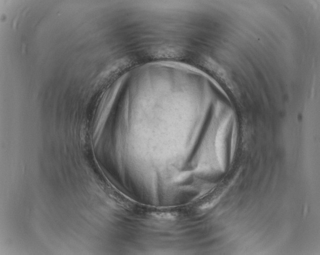 X0000089350161200707061033