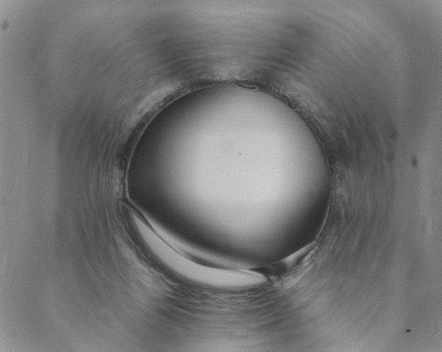 X0000089350164200707061033
