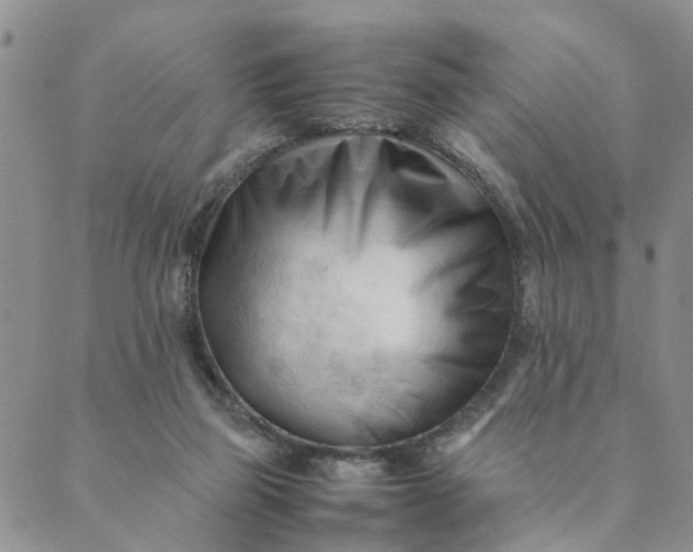 X0000089350165200707061033