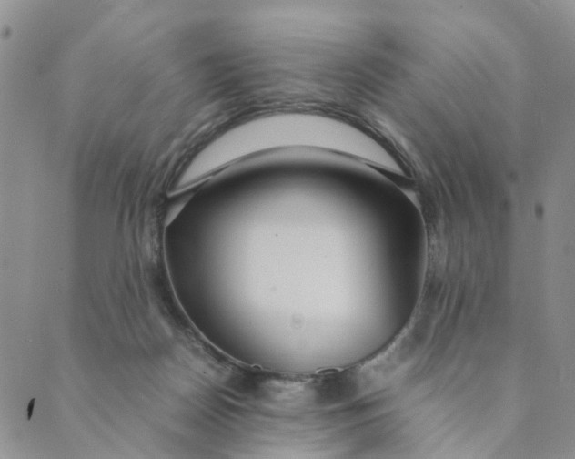 X0000089350170200707061033