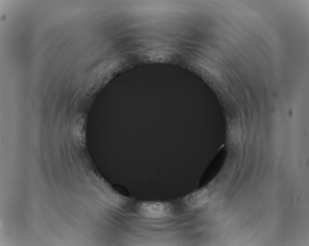 X0000089350181200707061033