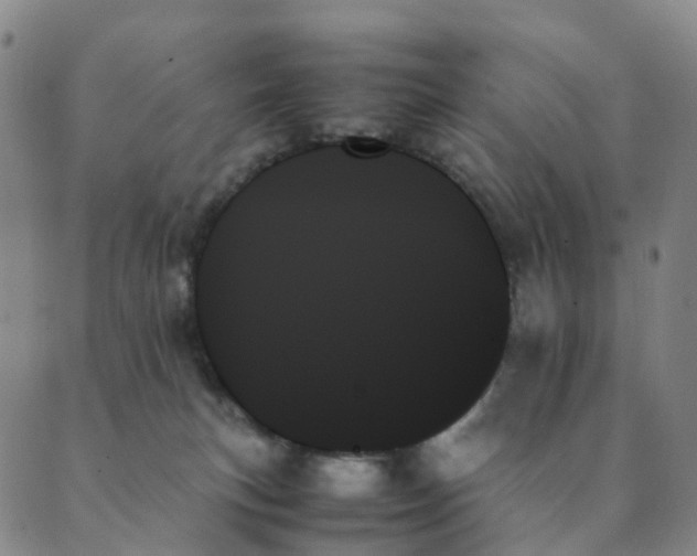 X0000089350183200707061033