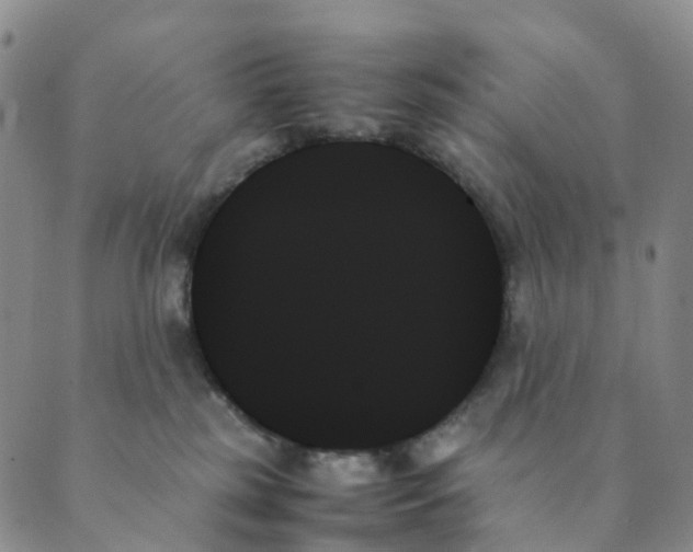 X0000089350185200707061033