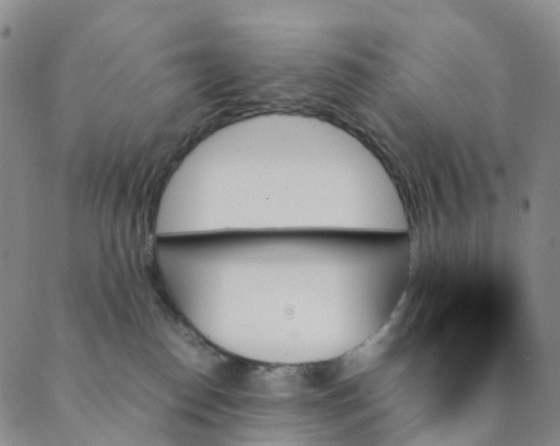 X0000089350186200707061034