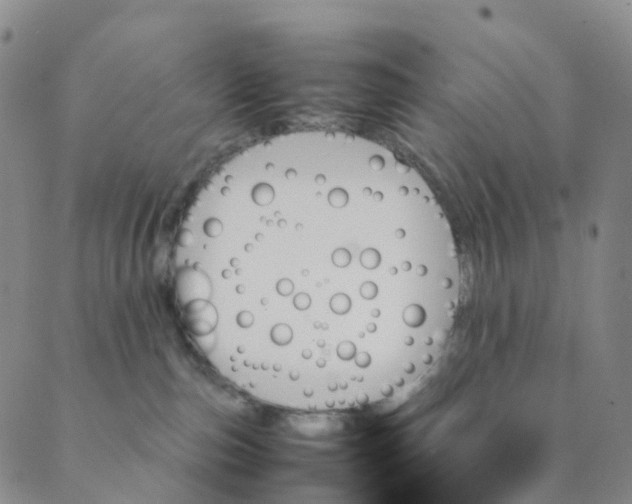 X0000089350187200707061034