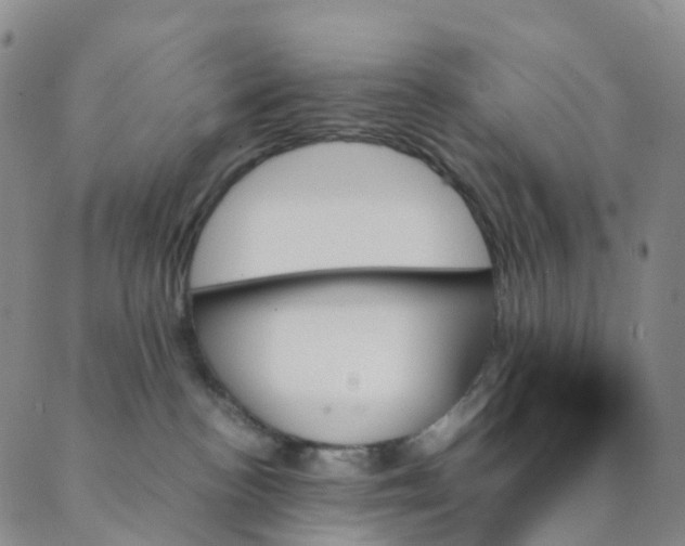 X0000089350188200707061034