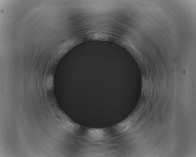 X0000089350189200707061034