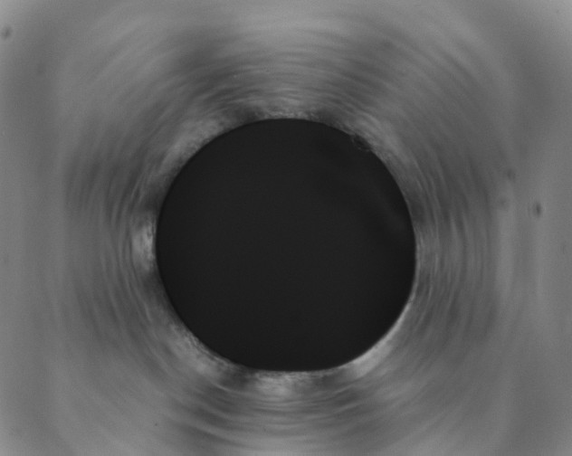 X0000089350190200707061034