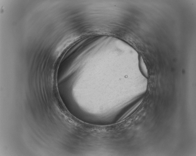 X0000089350194200707061033
