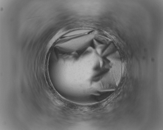 X0000089350195200707061033