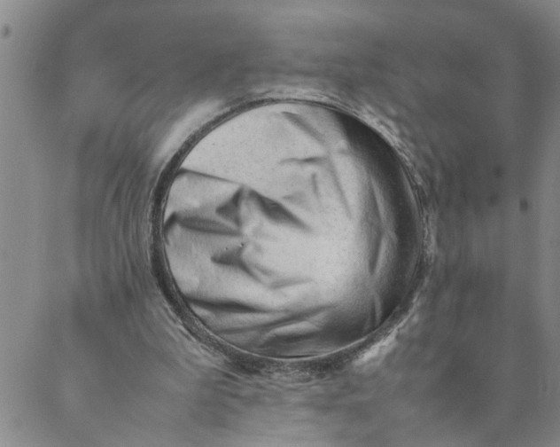 X0000089350199200707061033