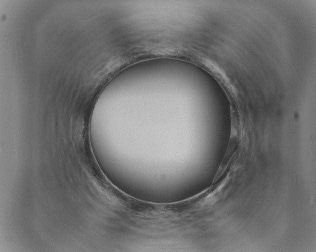 X0000089350201200707061033
