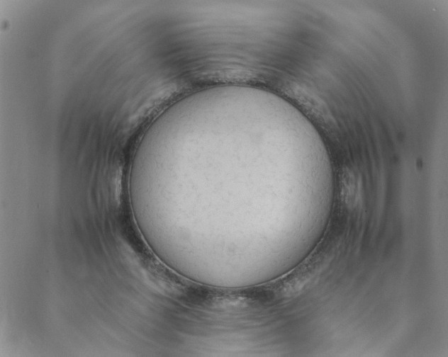 X0000089350206200707061033