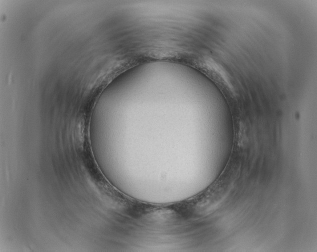 X0000089350210200707061033