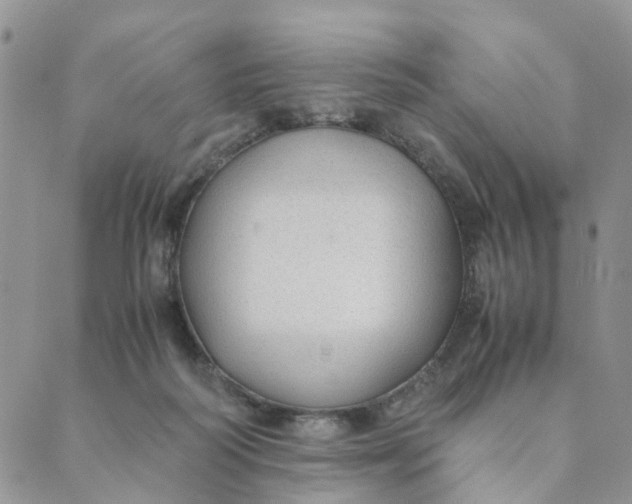 X0000089350218200707061032