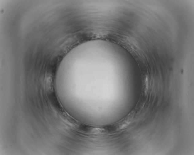 X0000089350222200707061032