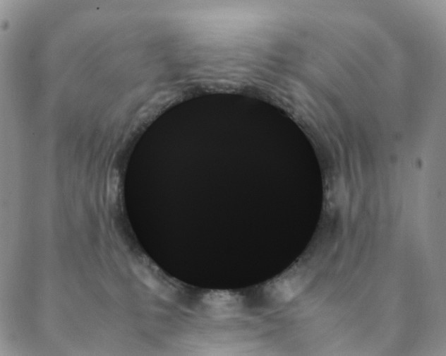 X0000089350231200707061032