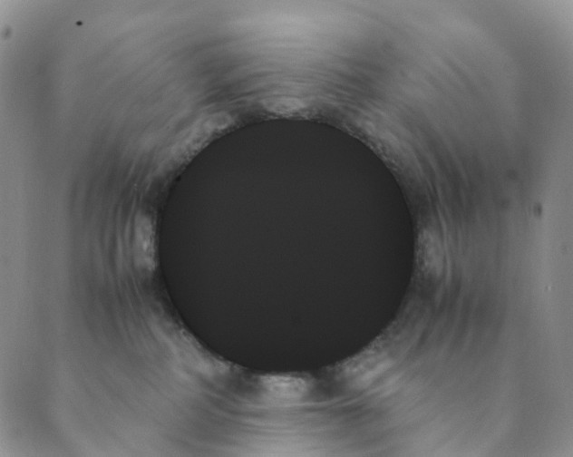 X0000089350234200707061032