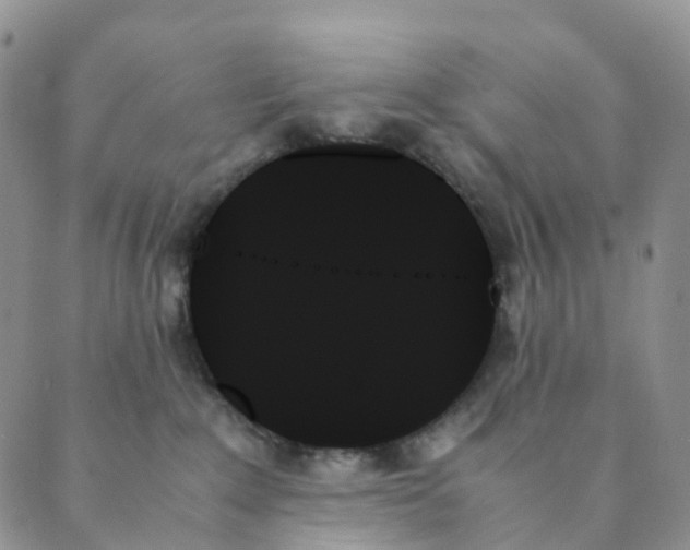 X0000089350235200707061032
