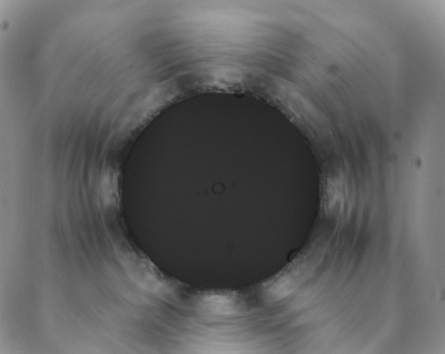 X0000089350236200707061032