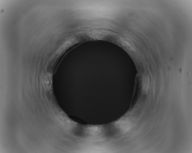 X0000089350237200707061032
