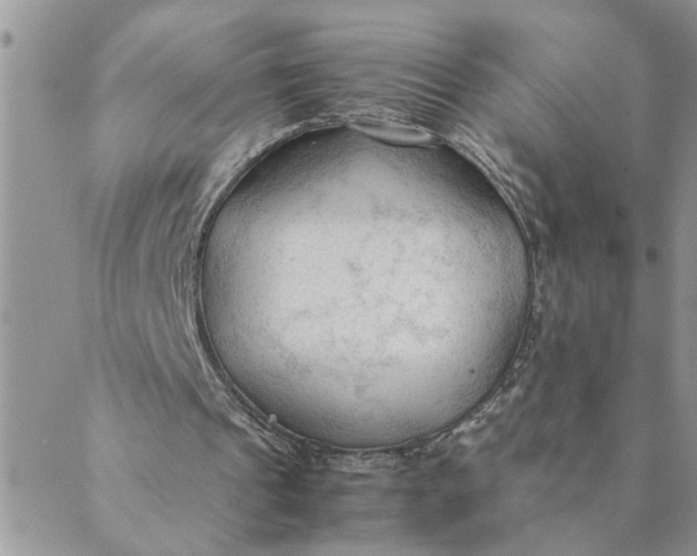 X0000089350241200707061031