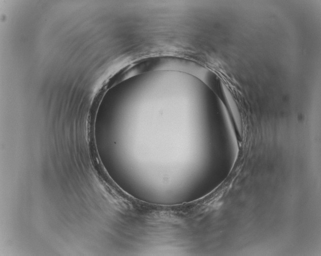 X0000089350244200707061031