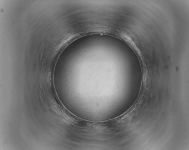 X0000089350249200707061031