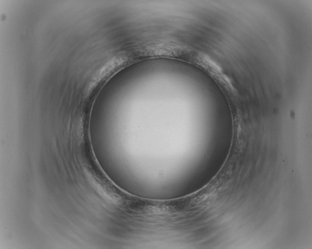 X0000089350250200707061031