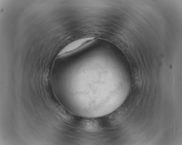 X0000089350275200707061032