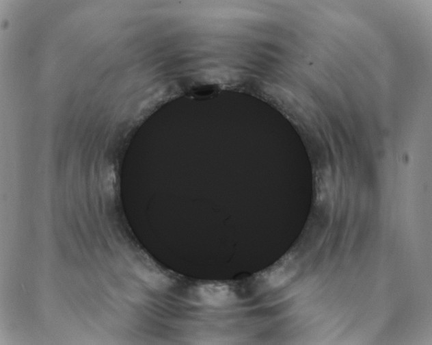 X0000089350279200707061032