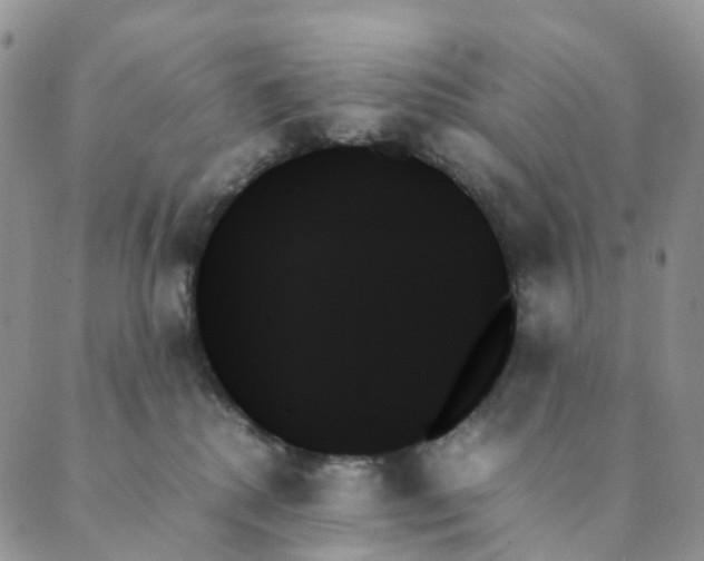 X0000089350280200707061032