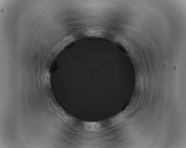 X0000089350281200707061032