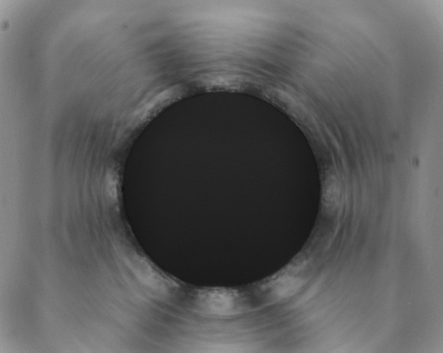 X0000089350282200707061032
