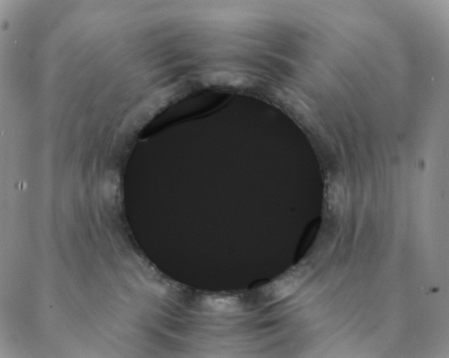 X0000089350283200707061032