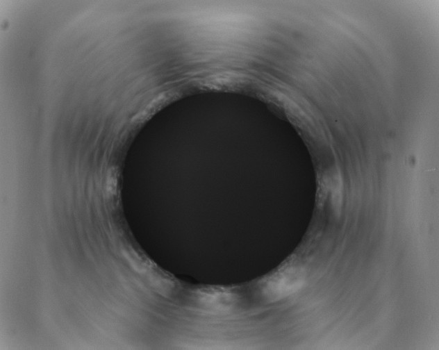 X0000089350284200707061032