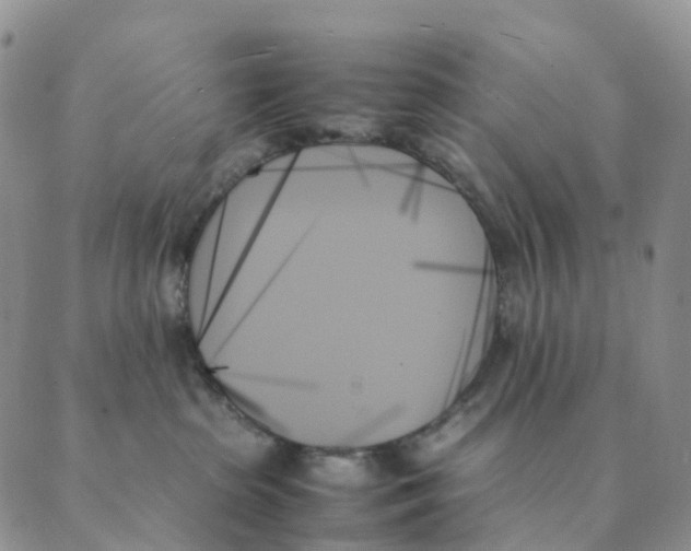 X0000089350285200707061032