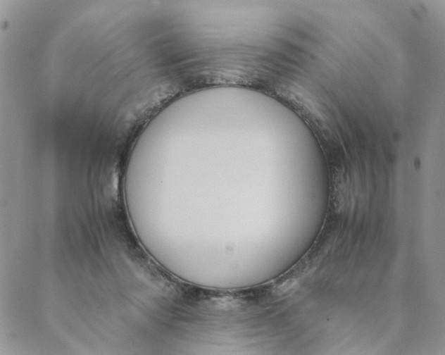 X0000089350310200707061031