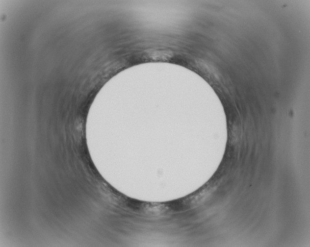 X0000089350321200707061031