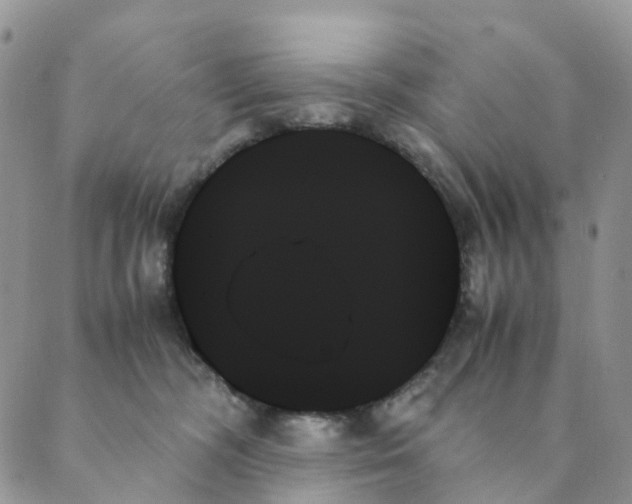 X0000089350326200707061031