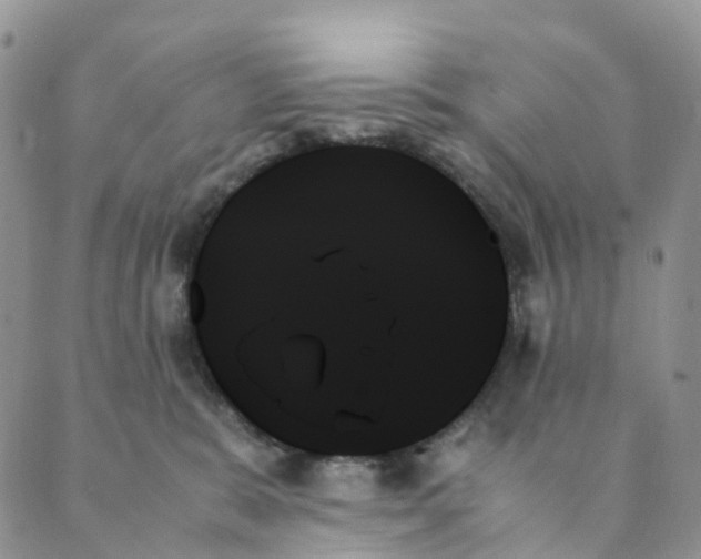 X0000089350327200707061031