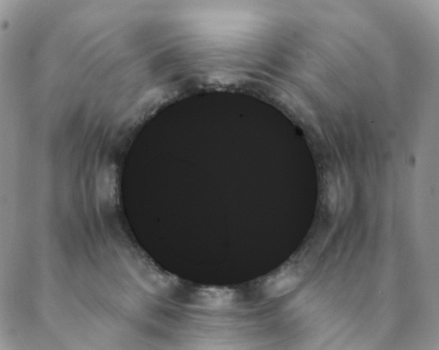 X0000089350328200707061031