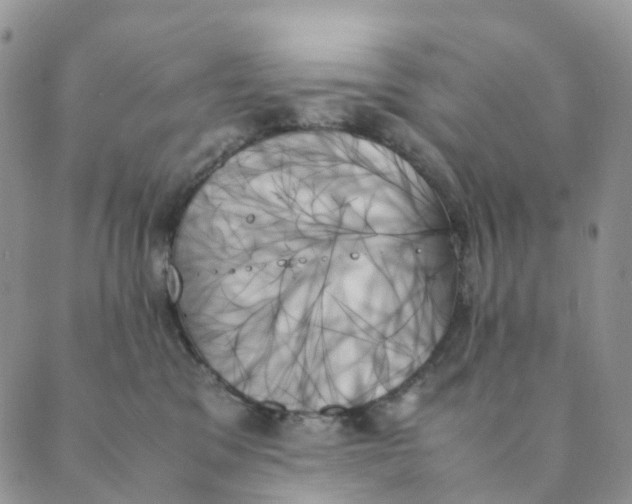 X0000089350329200707061031
