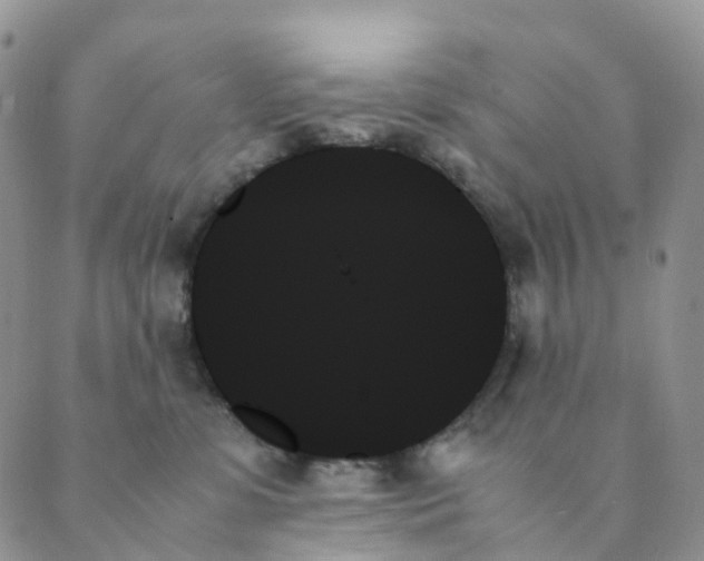 X0000089350331200707061031