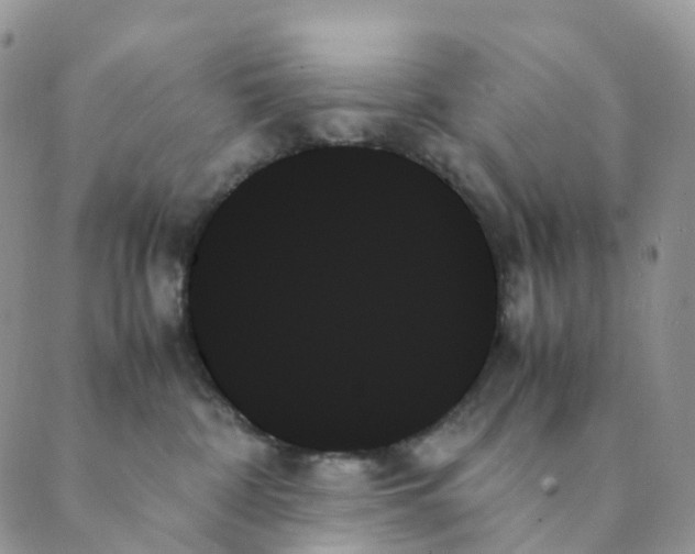 X0000089350332200707061031